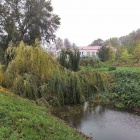 zdjęcie nr 4