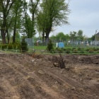 zdjęcie nr 4