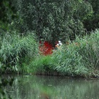 zdjęcie nr 6