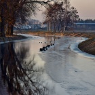 zdjęcie nr 13