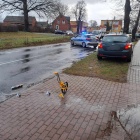 zdjęcie nr 2