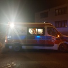 zdjęcie nr 10