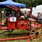 zdjęcie nr 7