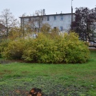 zdjęcie nr 26