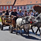 zdjęcie nr 27