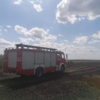 zdjęcie nr 19