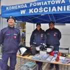 zdjęcie nr 31
