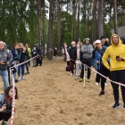 zdjęcie nr 19