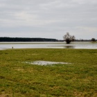 Umacnianie wału w Gryżynie (1)