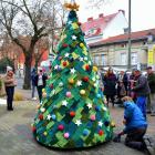 zdjęcie nr 13