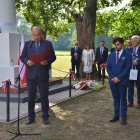 zdjęcie nr 14