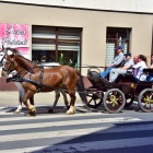 zdjęcie nr 10