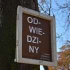 zdjęcie nr 8