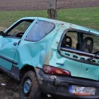 zdjęcie nr 11