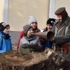 zdjęcie nr 95