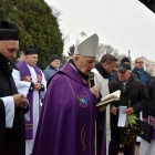 zdjęcie nr 50