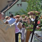 zdjęcie nr 31