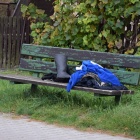 zdjęcie nr 10