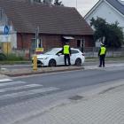 Fotka nr 2 z 3