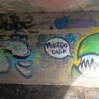 zdjęcie nr 21