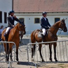 Mistrzostwa Wielkopolski w skokach przez przeszkody 2022 (1)