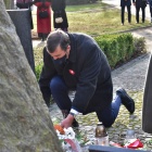 zdjęcie nr 11