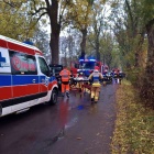 zdjęcie nr 3