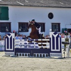 zdjęcie nr 19