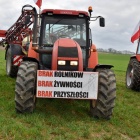 zdjęcie nr 36