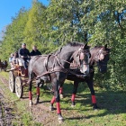 zdjęcie nr 13