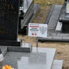 zdjęcie nr 20