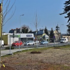 zdjęcie nr 16