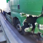 Nie zauważył busa (1)