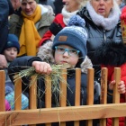 zdjęcie nr 75