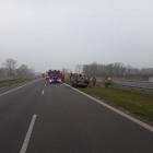 Samochód dachował przez kota (3)