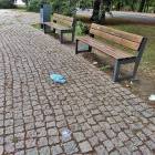 zdjęcie nr 5