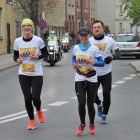 zdjęcie nr 17