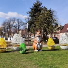 zdjęcie nr 6