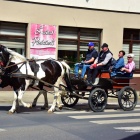 zdjęcie nr 14
