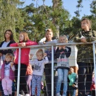 zdjęcie nr 13