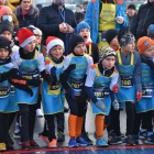 zdjęcie nr 24