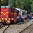 zdjęcie nr 1