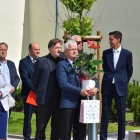 zdjęcie nr 13
