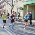 zdjęcie nr 45