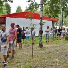 zdjęcie nr 8