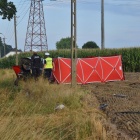 zdjęcie nr 5