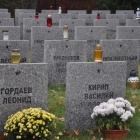 zdjęcie nr 34