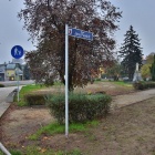 zdjęcie nr 3