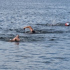 zdjęcie nr 24