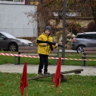 zdjęcie nr 84